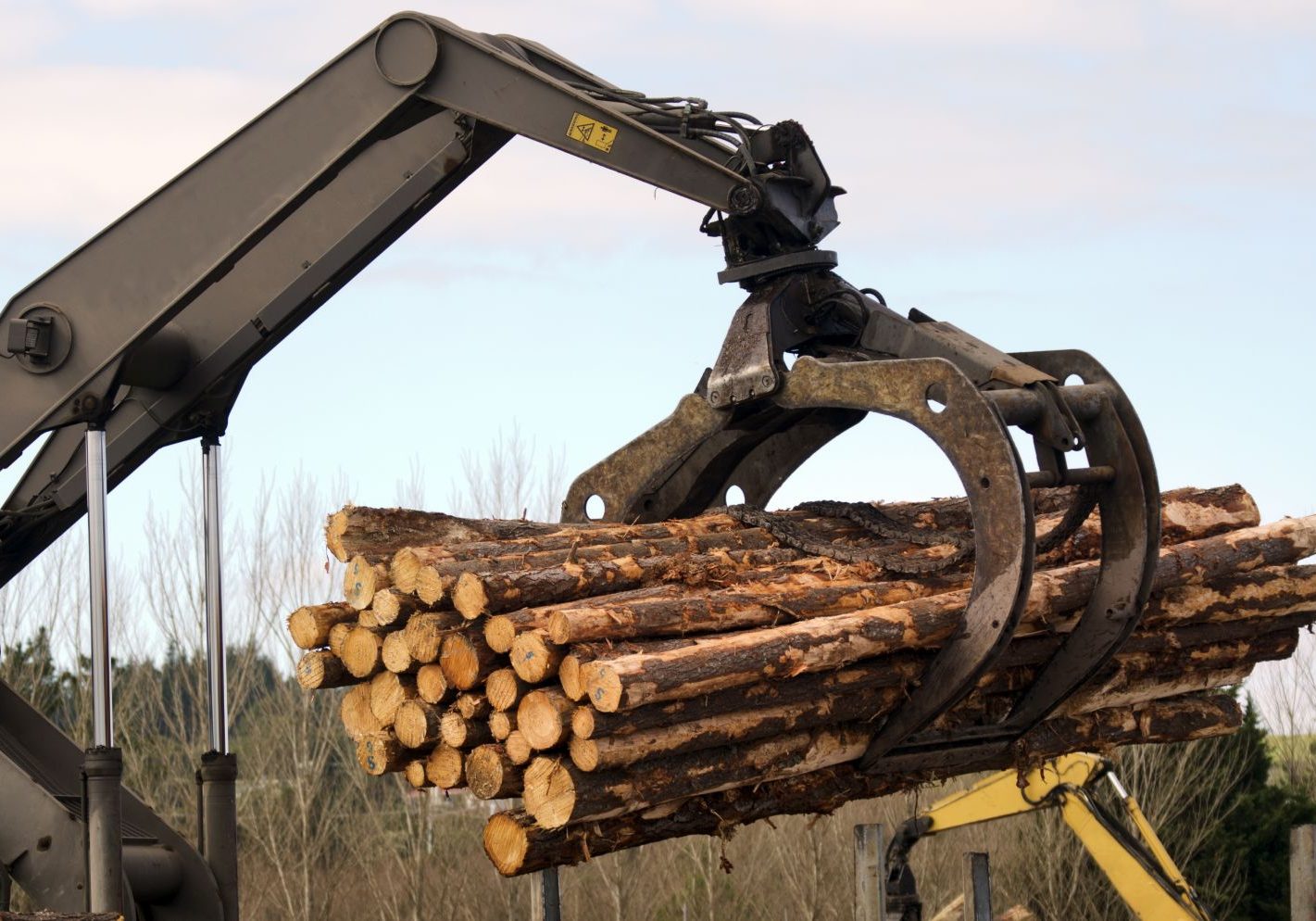 KAITAIA,NZ - JULY 30:Tractor carrying logs on July 30 2013. It's New Zealand third largest export earner with international sales in excess of $4 billion.